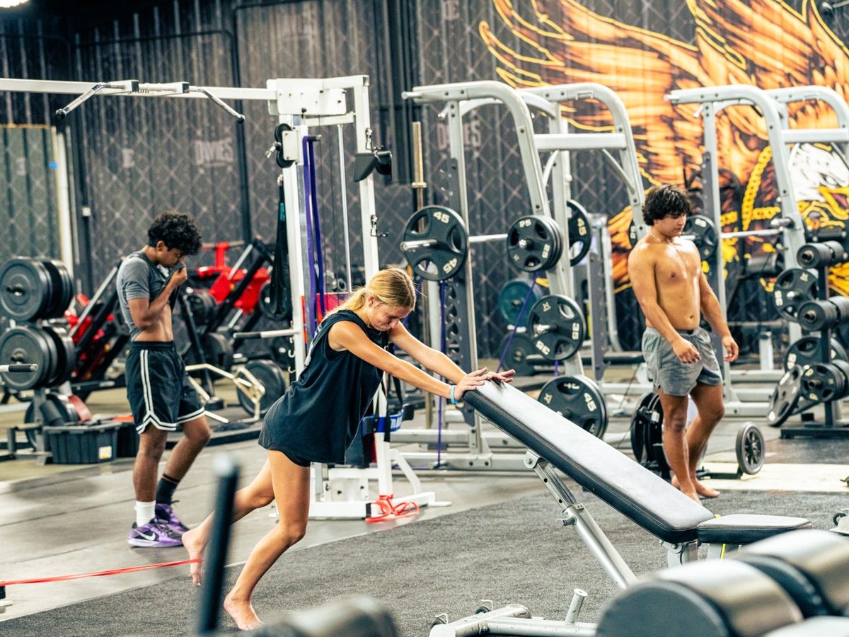 Training
